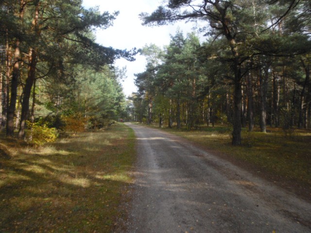 CTF-Permanente Neustaedter Holz 043